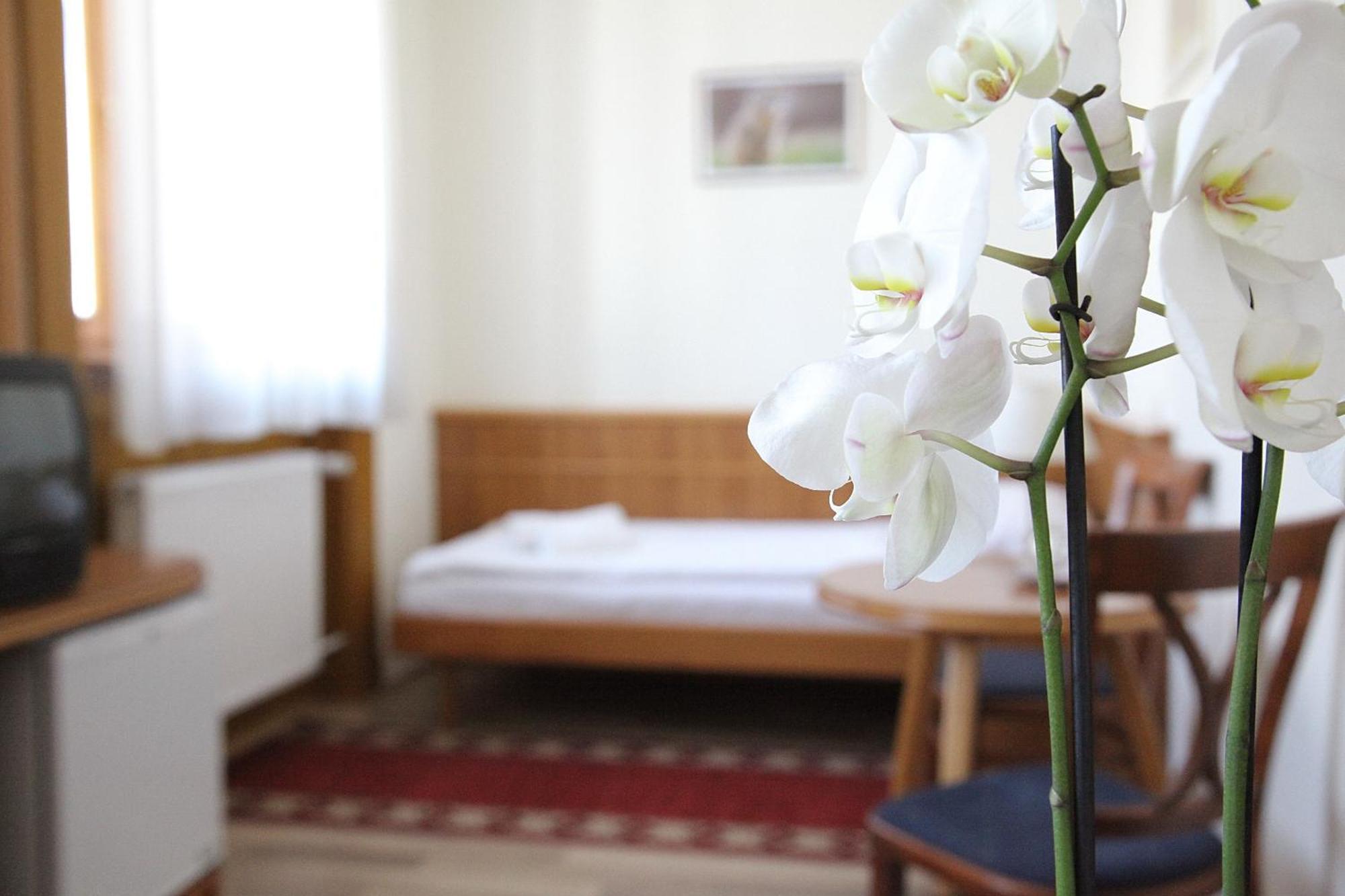 Hotel Corvinus Zalaszentgrot Bagian luar foto